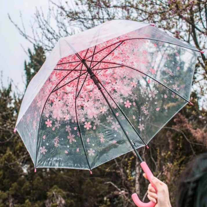 Transparent Cherry Blossom Sakura Umbrella 4 Available Colors