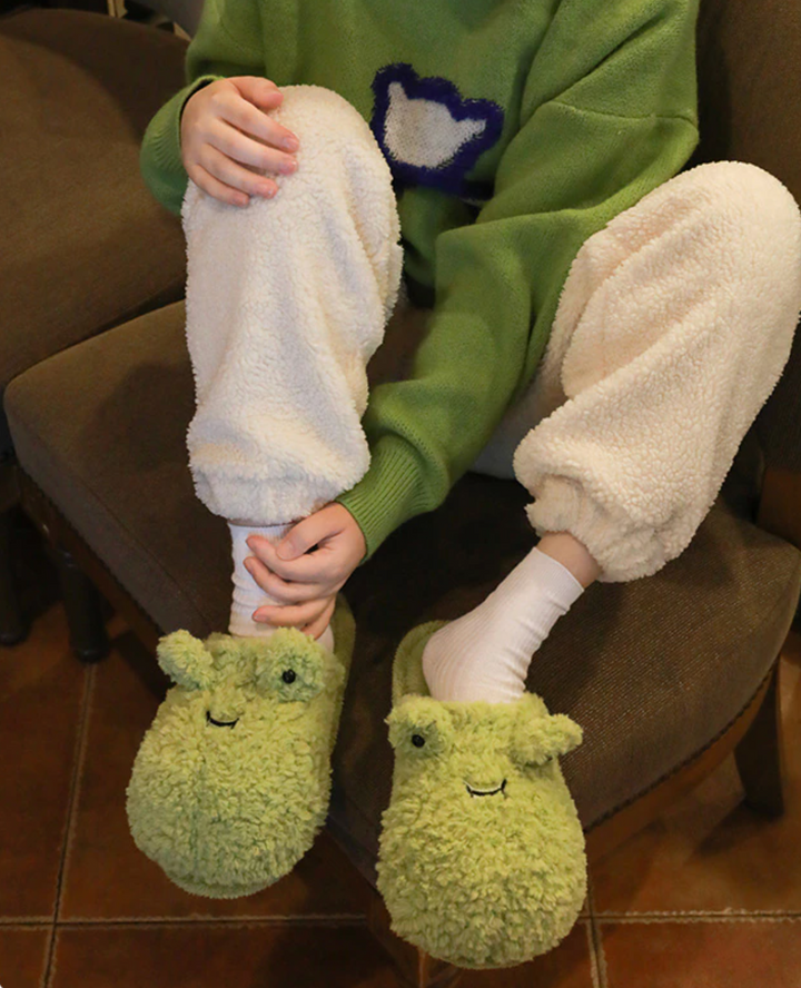 Fuzzy Froggy Slippers - Kawaii Frog Winter Warm Slippers
