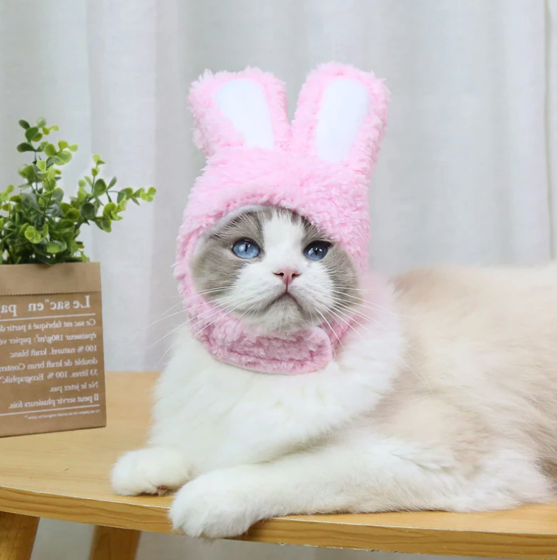 Bunny Rabbit Ears Hat for Cats