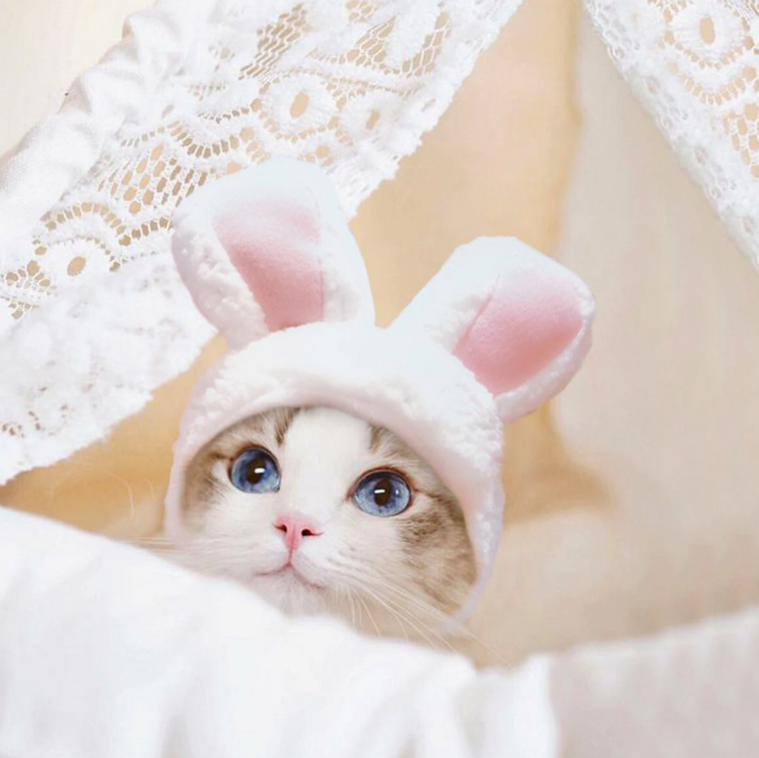 Bunny Rabbit Ears Hat for Cats